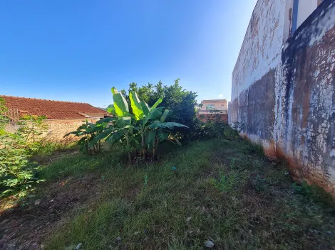 imagem 2 - Terrenos - Lote imagem 2 - Terrenos - Lote