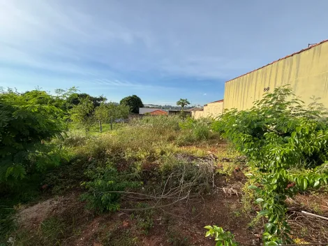 imagem 4 - Terrenos - Lote imagem 4 - Terrenos - Lote
