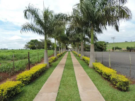 imagem 4 - Terrenos - Lote imagem 4 - Terrenos - Lote