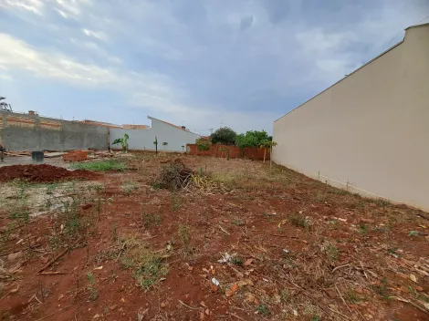 imagem 3 - Terrenos - Lote imagem 3 - Terrenos - Lote